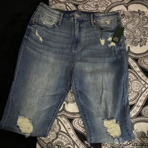 Wild Fable High-Rise Skinny Jeans (NWT)